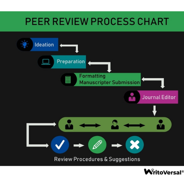 peer review process chart